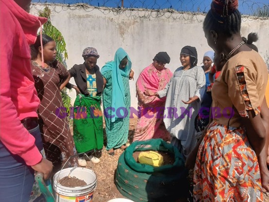 Kitchen Gardening Techniques
